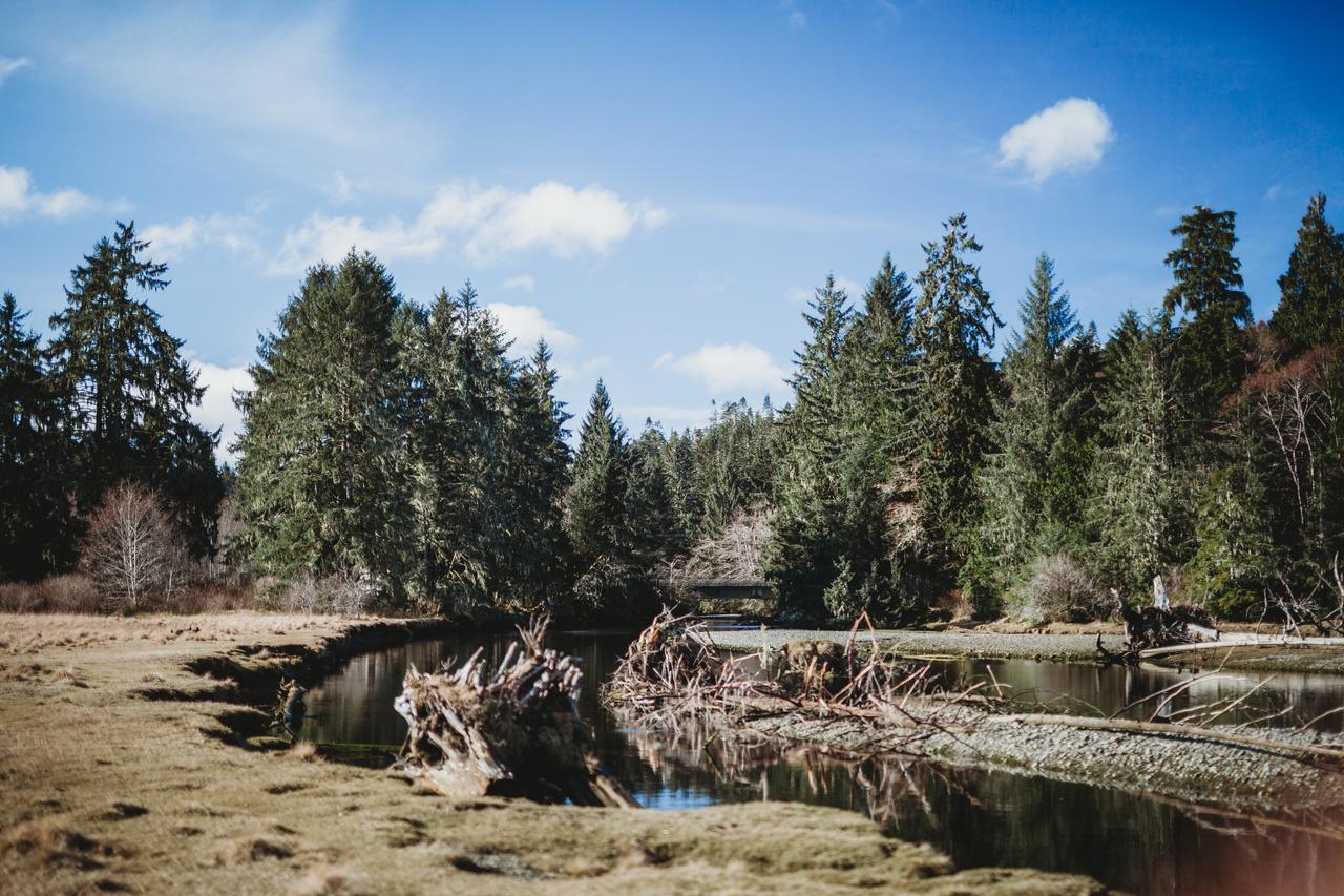 Port Hardy Cabins מראה חיצוני תמונה